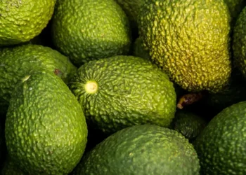Avocado farming in Africa: Lessons from Kenya’s Green Gold