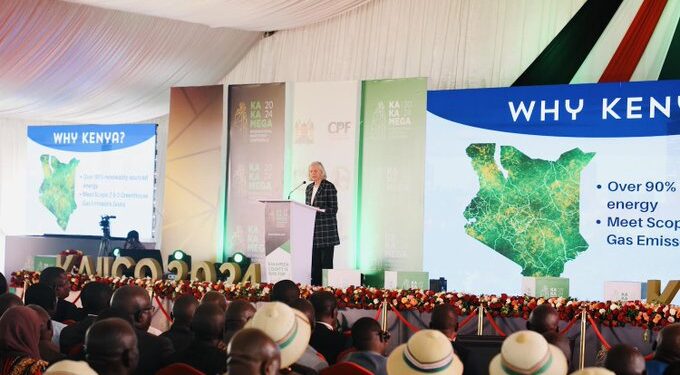 Kenya set to Become the Singapore of Africa, US Ambassador