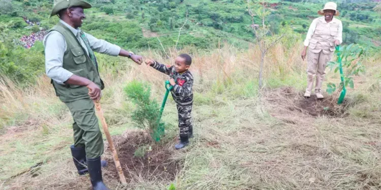 Kenya Makes Positive Strides toward Planting 15 Billion Trees