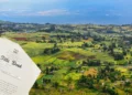 Process of Buying Land in Kenya in 2024: A Comprehensive Step-by-Step Guide