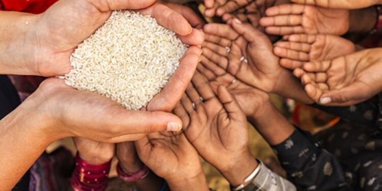 Global food shortages