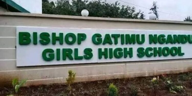 MPs Question Sh1 Million NSE Investment by Bishop Gatimu Ngandu Girls